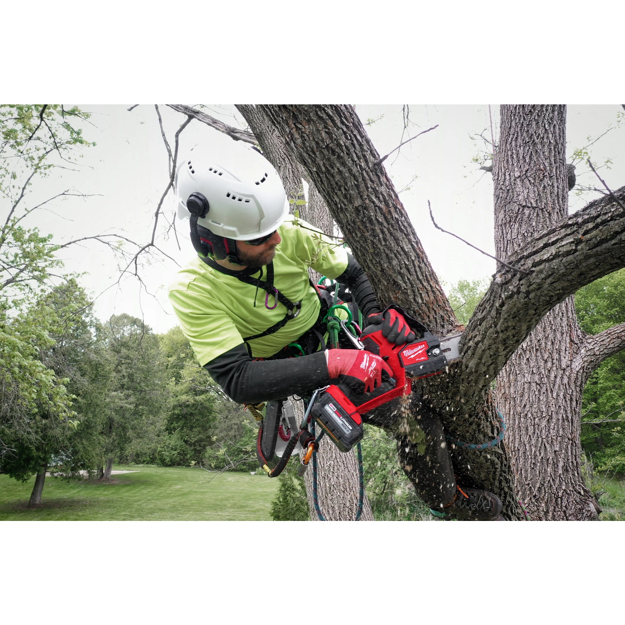 GUIDE-CHAÎNE 8'' POUR SCIE D'ÉLAGAGE 3004-20