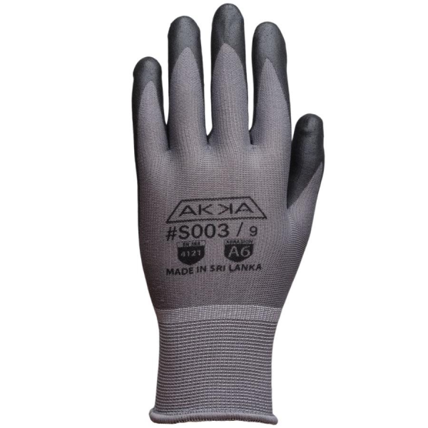 GAN12 S003/P