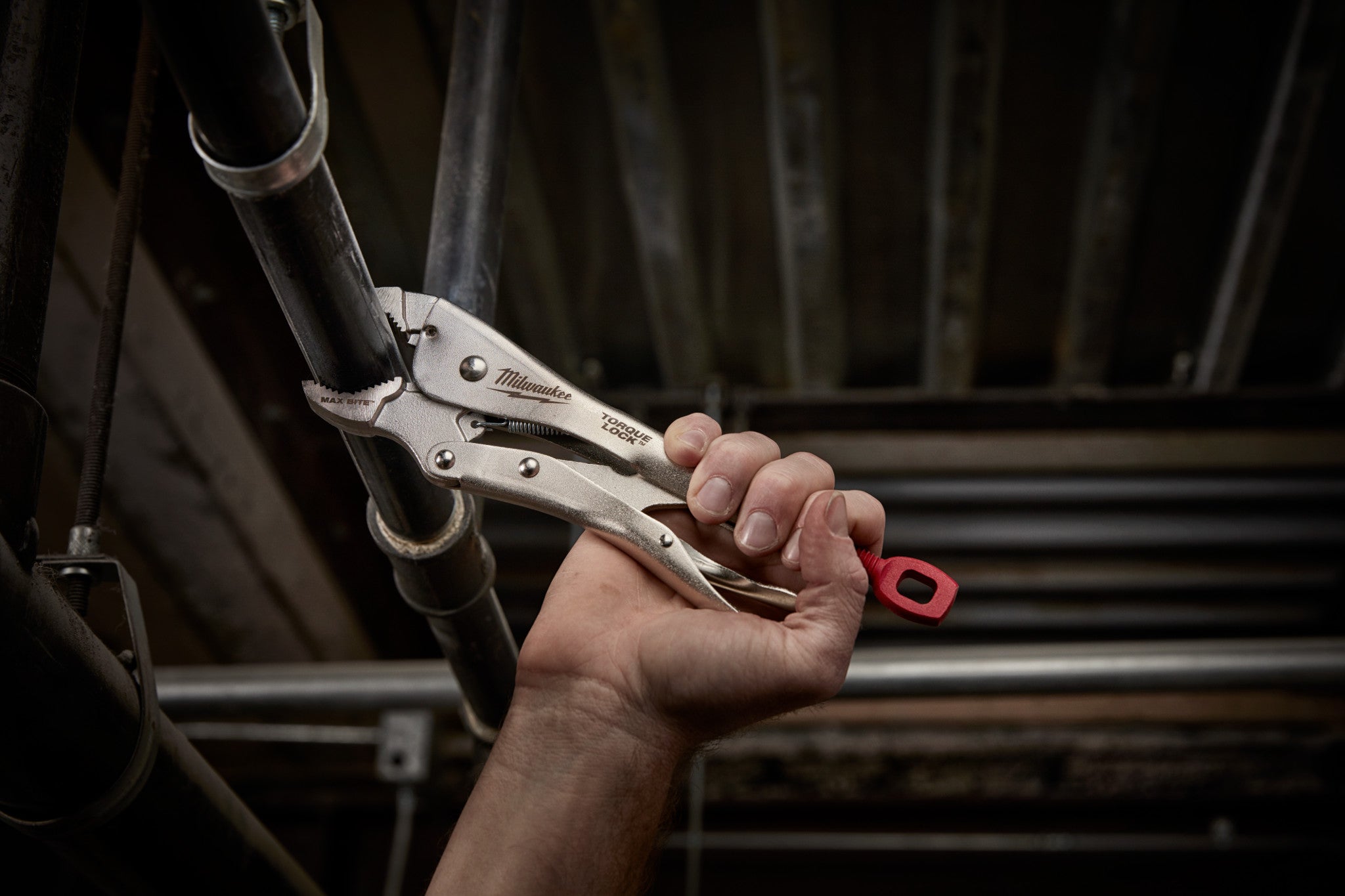 MAXBITE 10'' CURVED JAW LOCKING PLIER