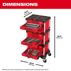 ENSEMBLE D'OUTILS À MAIN POUR MÉCANICIEN PACKOUT (366MCX)