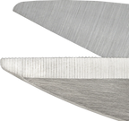 OLF12 SCS-2_2