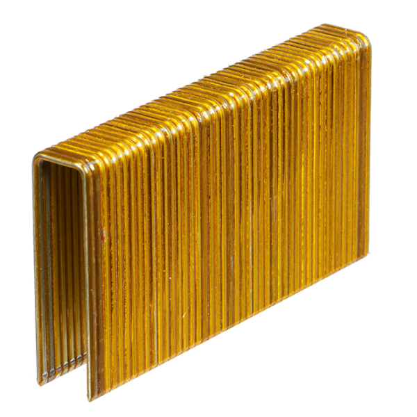 FO2 BS1550 10M